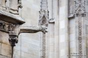 Travel photography:Gargoyle at Notre Dame cathedral in Paris, France