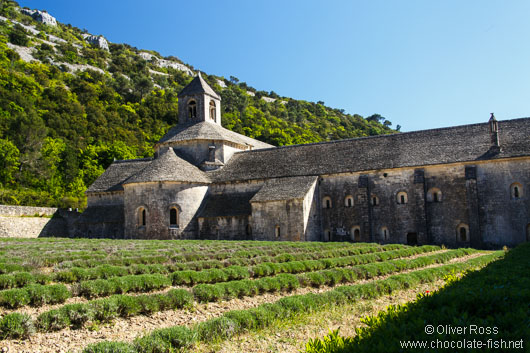 The Abbey of Notre Dame de Sénanque near Gordes