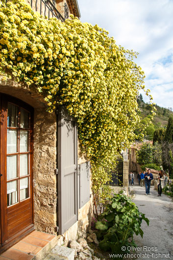 Houses in Moustiers Sainte Marie