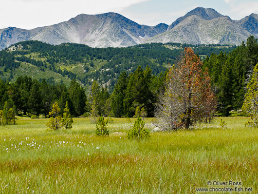 Landscape near Lac d´Aude