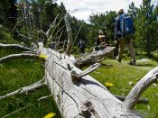Travel photography:Hikers, France