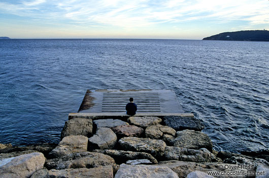 Coast near Toulon