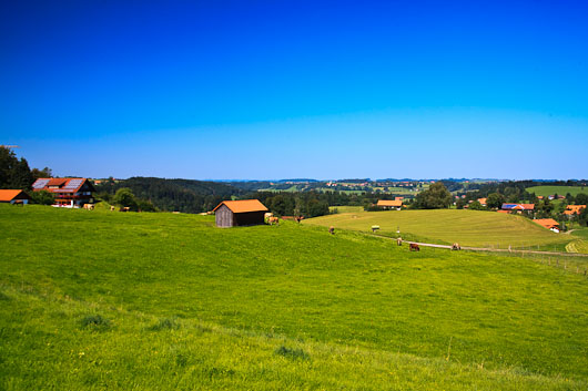 Typical Allgäu landscape