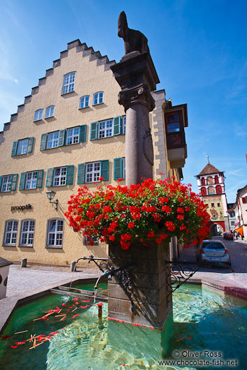 Fountain in Wangen 