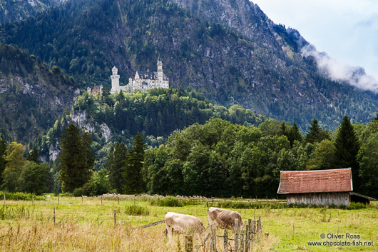 View of Neuschwanstein castle on an overcast day