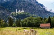 Travel photography:View of Neuschwanstein castle on an overcast day, Germany