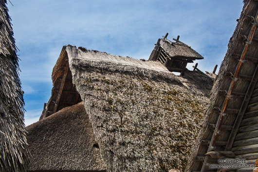 Thatched roofs at neolithic stilt houses at the open air museum in Uhldingen