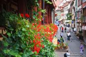 Travel photography:Flower balustrade in Meersburg , Germany