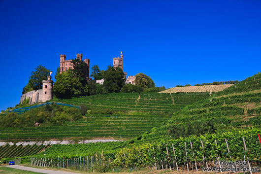 View of the Schloss Ortenberg castle and adjacent vineyards