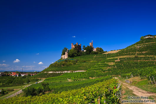 View of the Schloss Ortenberg castle and adjacent vineyards