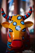 Travel photography:Colourful cow in Gengenbach , Germany
