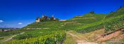 Travel photography:Panoramic view of the Schloss Ortenberg castle and adjacent vineyards, Germany