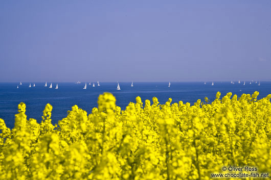 Sailing in the Baltic off Bülk coast