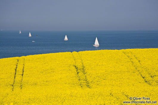 Sailing in the Baltic off Bülk coast