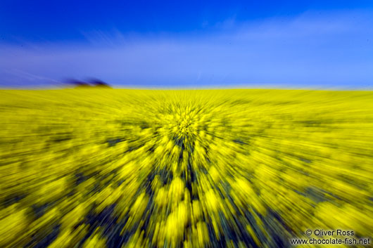 Rape field explosion