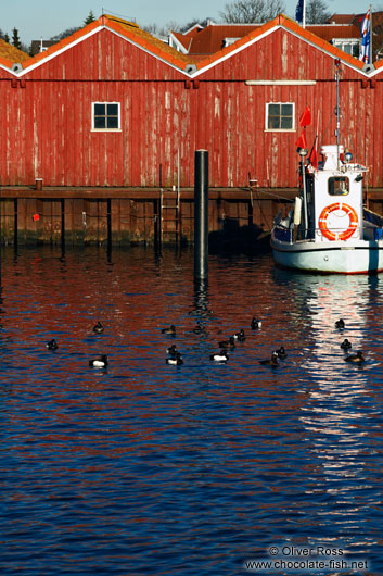 Laboe boat houses