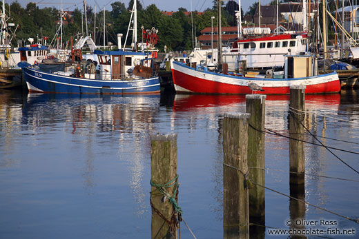 Fishing boats in Möltenort near Kiel