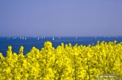 Travel photography:Sailing in the Baltic off Bülk coast, Germany