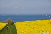 Travel photography:Baltic coast near Bülk, Germany