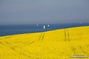 Travel photography:Sailing in the Baltic off Bülk coast, Germany