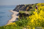 Travel photography:Cliffs near Bülk, Germany