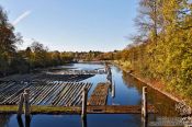 Travel photography:Logs in a side arm of the Kiel canal connecting the North and Baltic Seas near Kiel, Germany