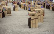 Travel photography:Beach baskets in Laboe, Germany