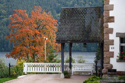 House and tree in the Black Forest with the lake Titisee in the background