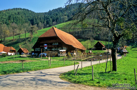 Black Forest farm house near Ortenberg