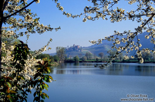 Schloss Ortenberg at the foot of the Black Forest