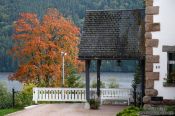 Travel photography:House and tree in the Black Forest with the lake Titisee in the background, Germany