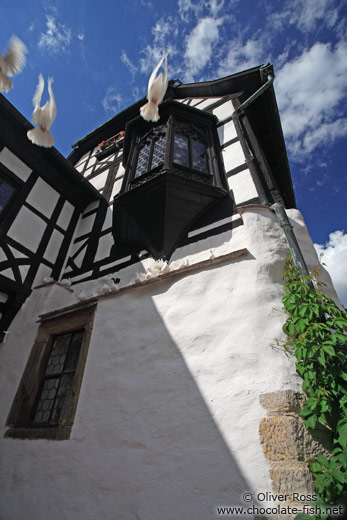 White pigeons taking off from a roof on the Wartburg Castle