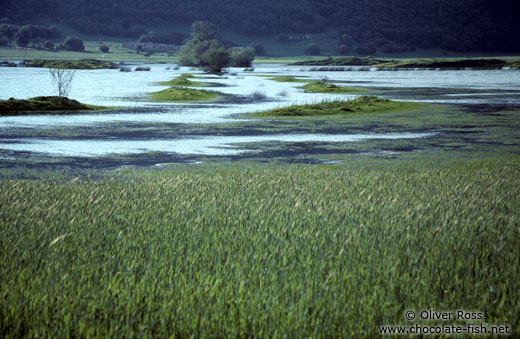 Landscape near Arta