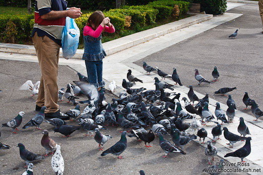 Feeding pidgeons in Athens