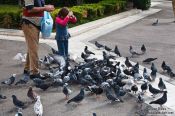 Travel photography:Feeding pidgeons in Athens, Greece