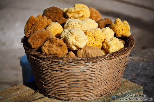 Sponges in Iraklio (Heraklion) harbour