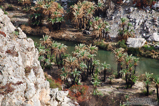 Preveli beach