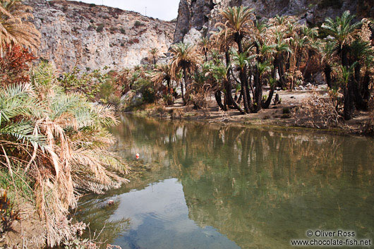 Preveli beach