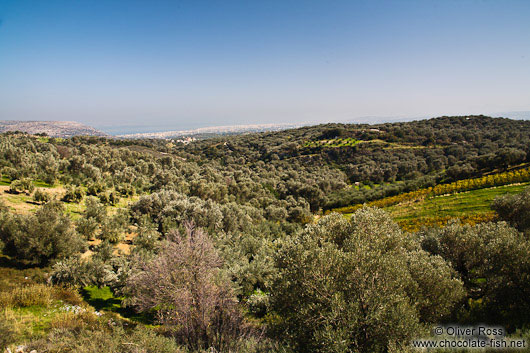 Landscape near Zoniana