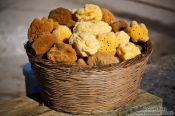 Travel photography:Sponges in Iraklio (Heraklion) harbour, Grece