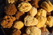 Travel photography:Sponges in Iraklio (Heraklion) harbour, Grece