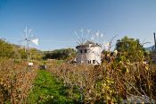 Travel photography:Windmills near Zoniana, Grece