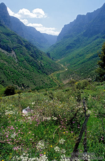 View of the Voidomatis gorge