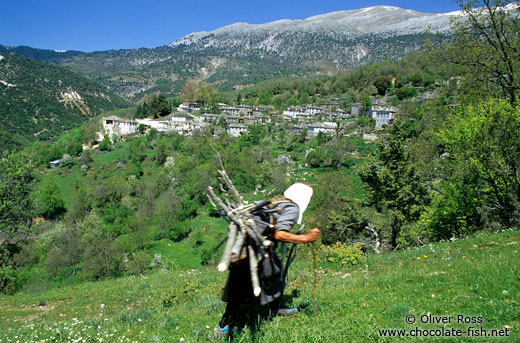 Old woman with firewood in Papigko