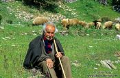 Travel photography:Shepherd in Papigko, Greece