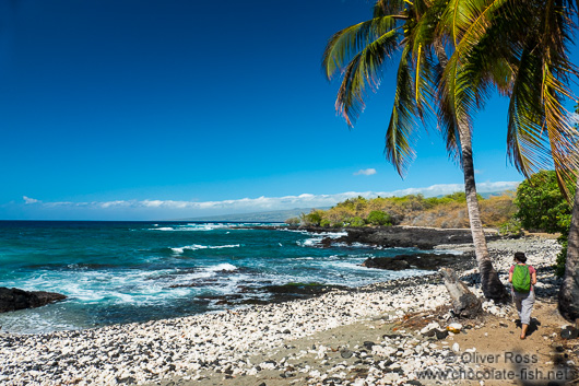 Hawaii beach