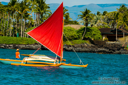 Outrigger on Hawaii