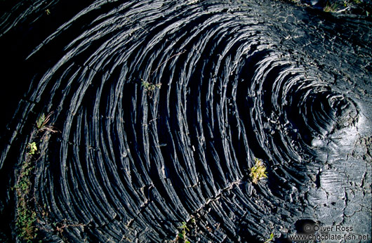 Cooled lava flow in Volcano National Park