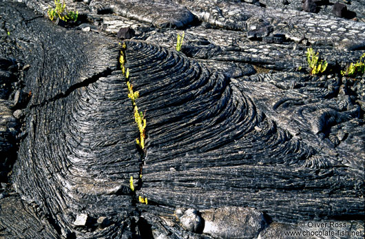 Cooled lava flow