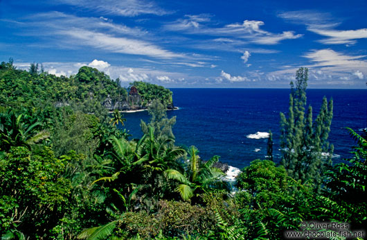 Hilo Coast